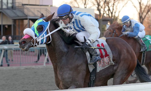 Bourbon Bon Bay enjoys Cornucopia