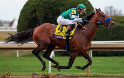 Flightline named Horse of the Year