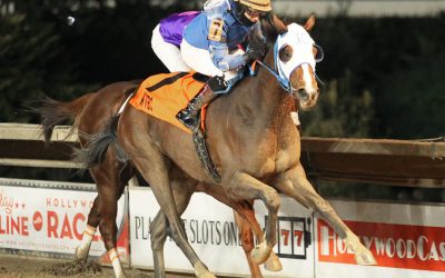 Coin Collector draws top Charles Town sophomores