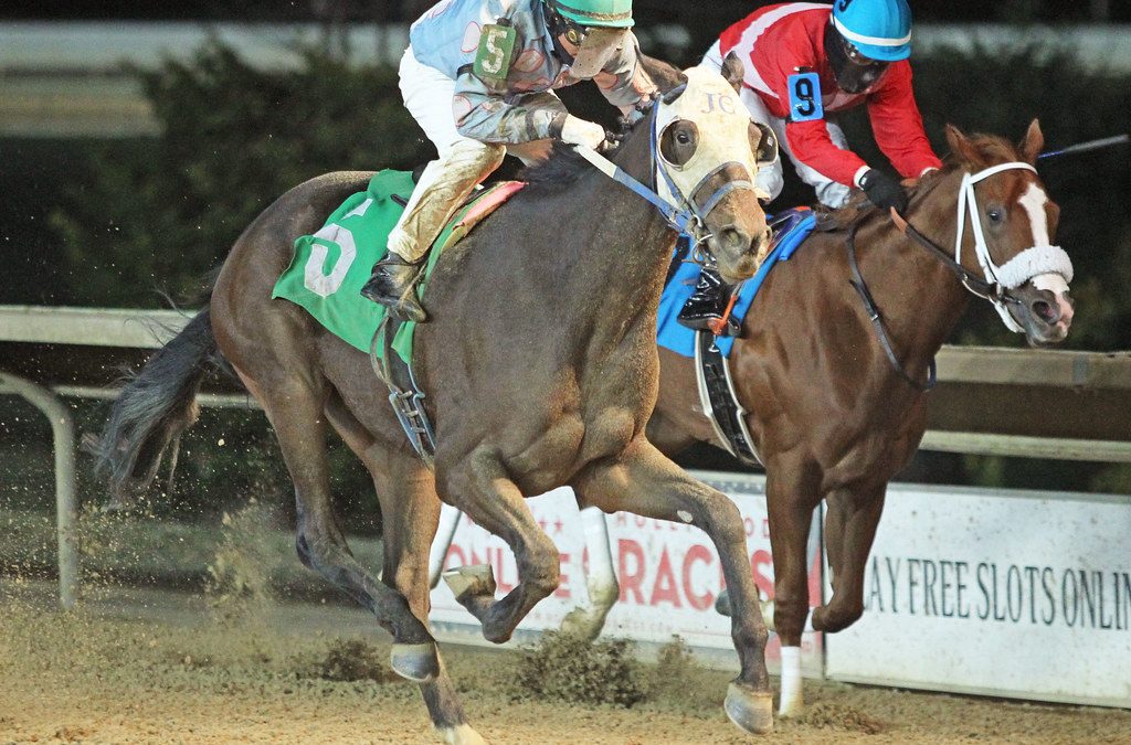 After 4-year absence, Orlando Bocachica back in the saddle