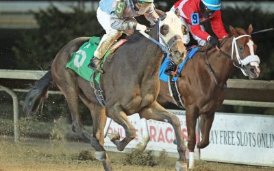 After 4-year absence, Orlando Bocachica back in the saddle