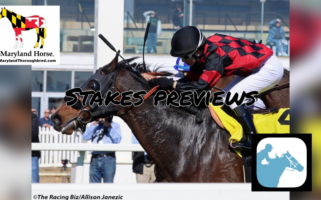 VIDEO: Previewing Laurel Park stakes
