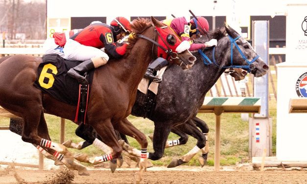 Laurel: Karan’s Notion takes allowance thriller