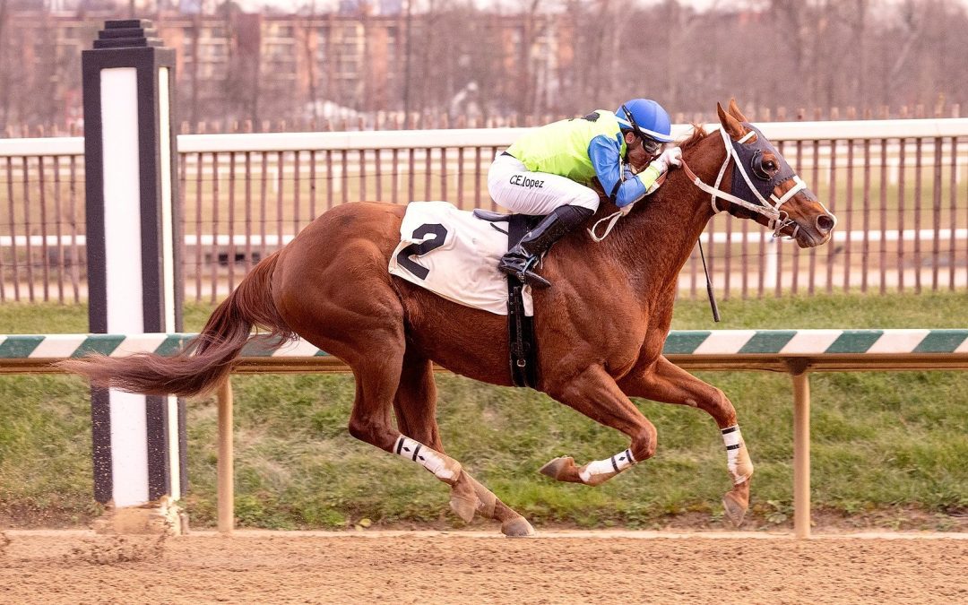 Zabracadabra makes Laurel allowance rivals disappear