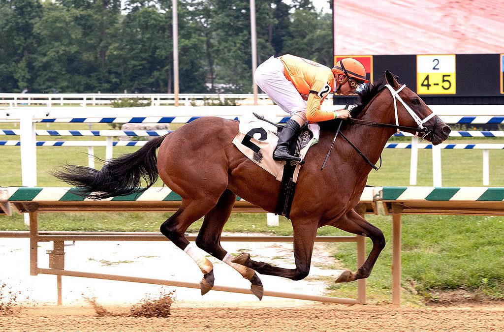Fasig-Tipton: Racing age horses to spice up sale
