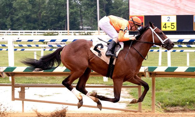 Fasig-Tipton: Racing age horses to spice up sale