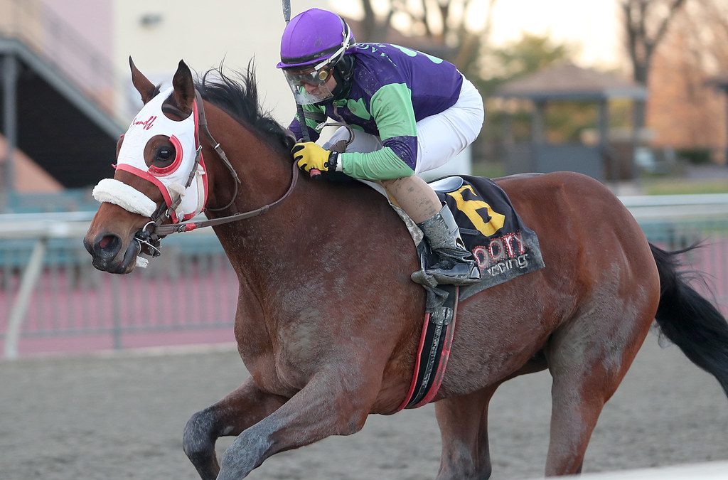Howgreatisnate looks to bounce back, and stay up, in Private Terms