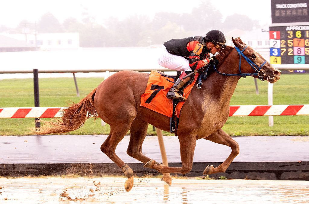 Malibu Moonshine headed to Saturday’s Ruthless