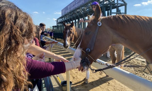 Two days in November