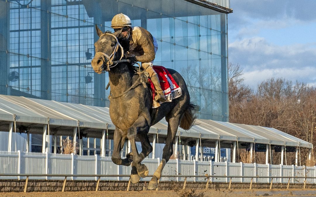 VIDEO: Who are the best Maryland-bred 2yos?