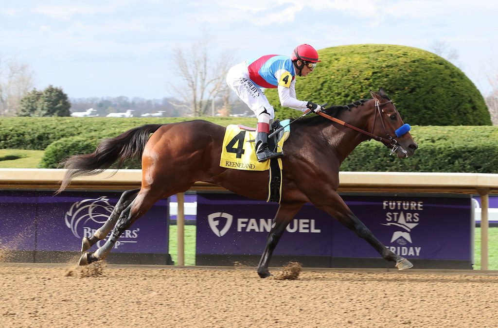Arabian Knight favored in Southwest