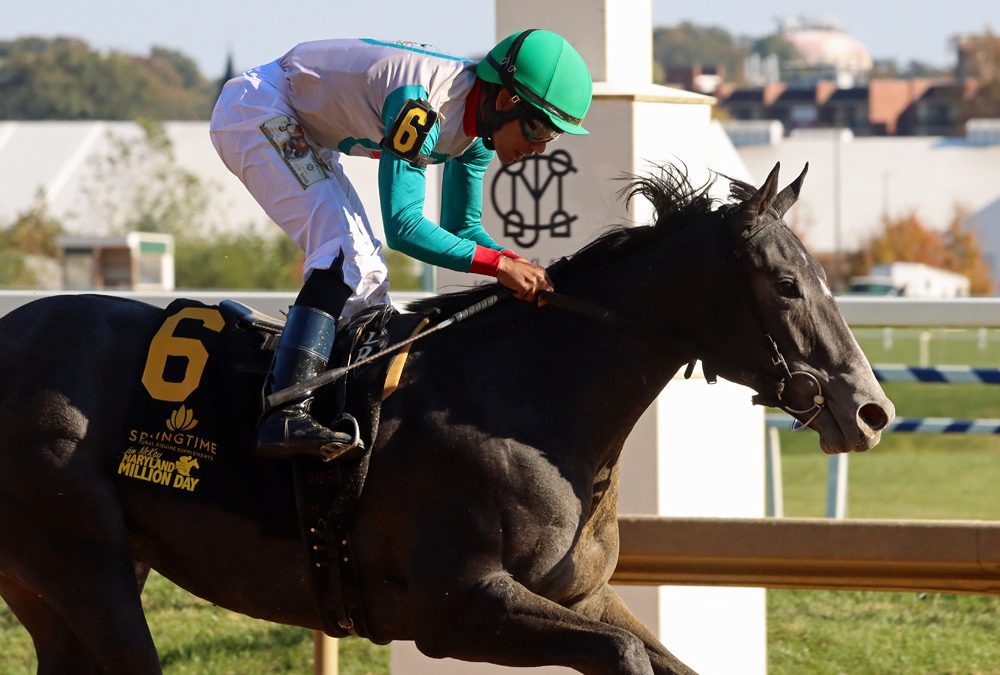 Chickieness back to stakes company in Xtra Heat