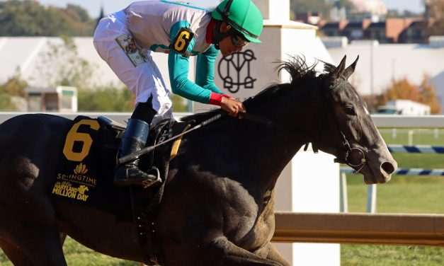 Chickieness back to stakes company in Xtra Heat