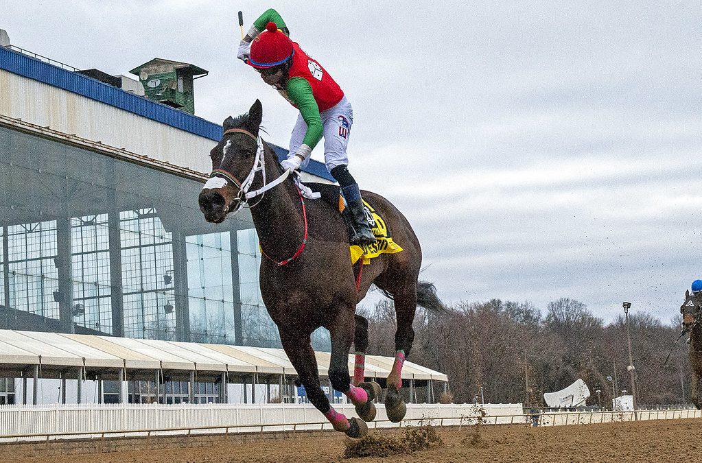 Robb barn has fingers crossed for busy Maryland Million