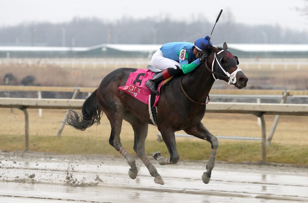 Parx: Recruiter still undefeated, more stakes on tap today