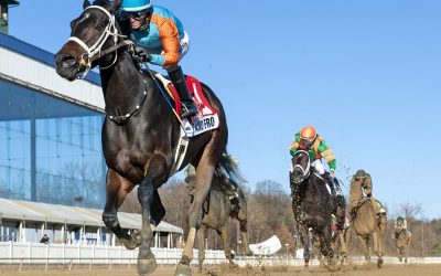 Jockey Club fact book now available