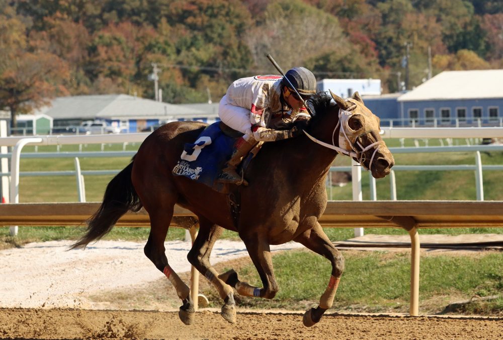 Laurel: Mavilus will make season bow on Friday