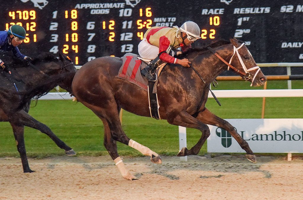Triple Crown trail: Litigate scores in Sam F. Davis