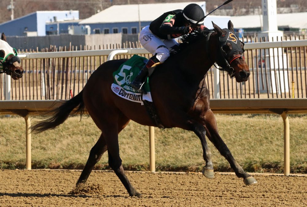 Preakness profile: Coffeewithchris
