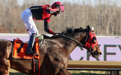 Midlantic stakes thumped by graded stakes committee