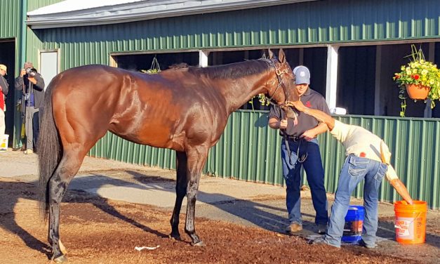 MJC imposes strict stable-area rules