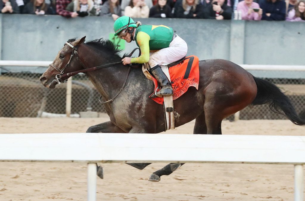 Derby good Preakness “prep” for Confidence Game