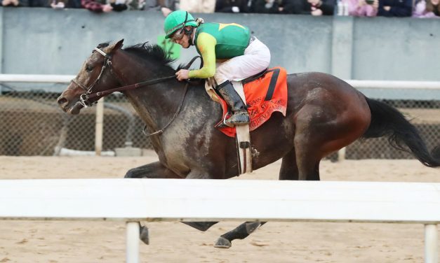 Derby good Preakness “prep” for Confidence Game