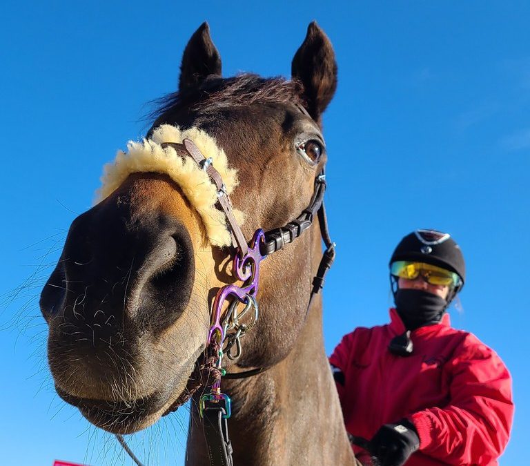 Photo Essay: Fritchie day in pictures