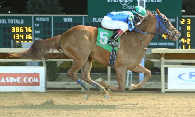 Little Roo Roo “putting it all together”