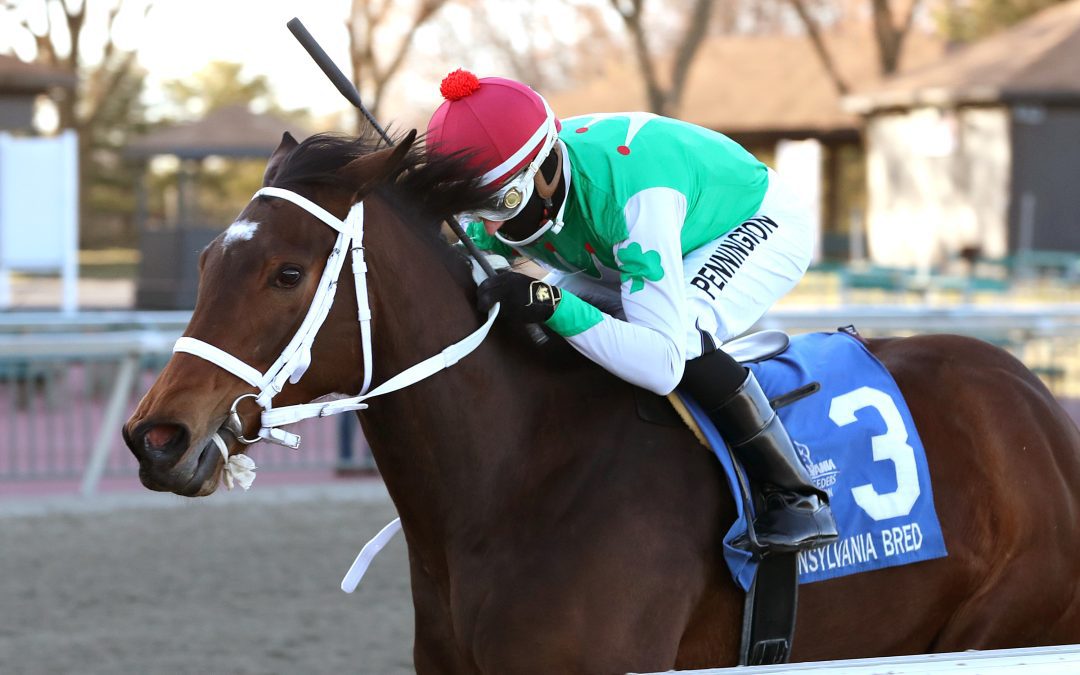 Disco Ebo returns in competitive Primonetta