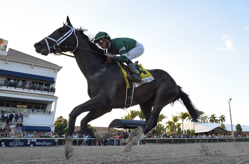 After Derby scratch, Forte thinking Preakness