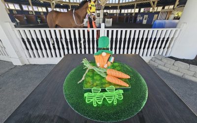 Maryland horsemen, track owner see injury issue differently