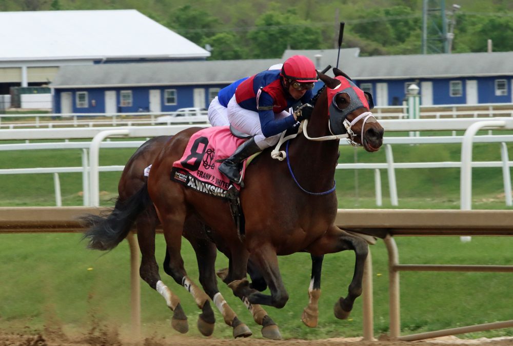 Photo Essay: Tesio Stakes day in pictures