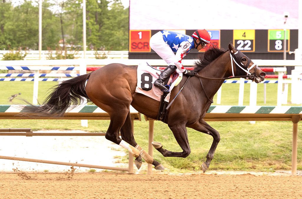 Goodgirl Badhabits opens eyes with flashy wins