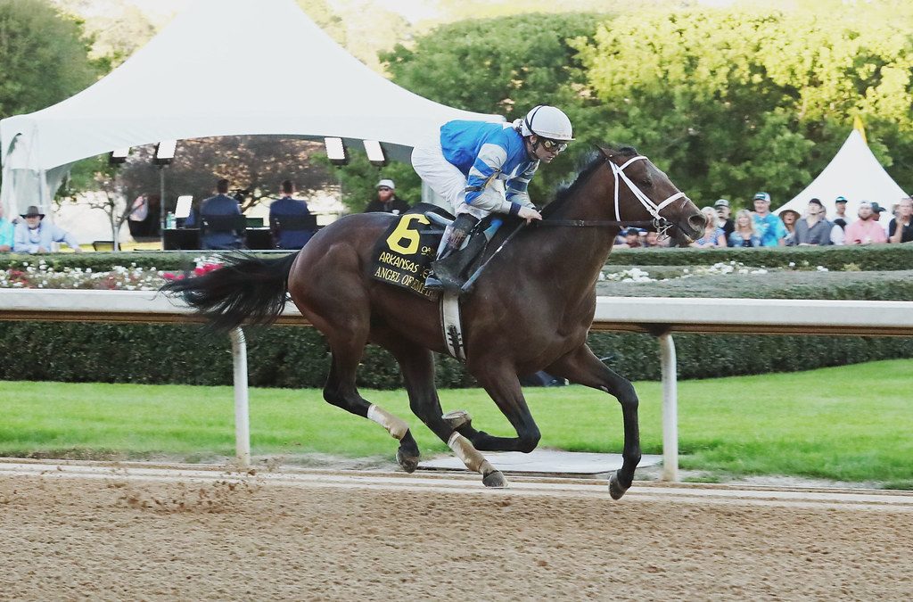 Angel of Empire named Top Midlantic-bred of 2023