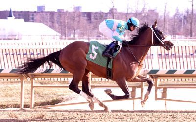 Delaware Park: 3 questions for Delcap day