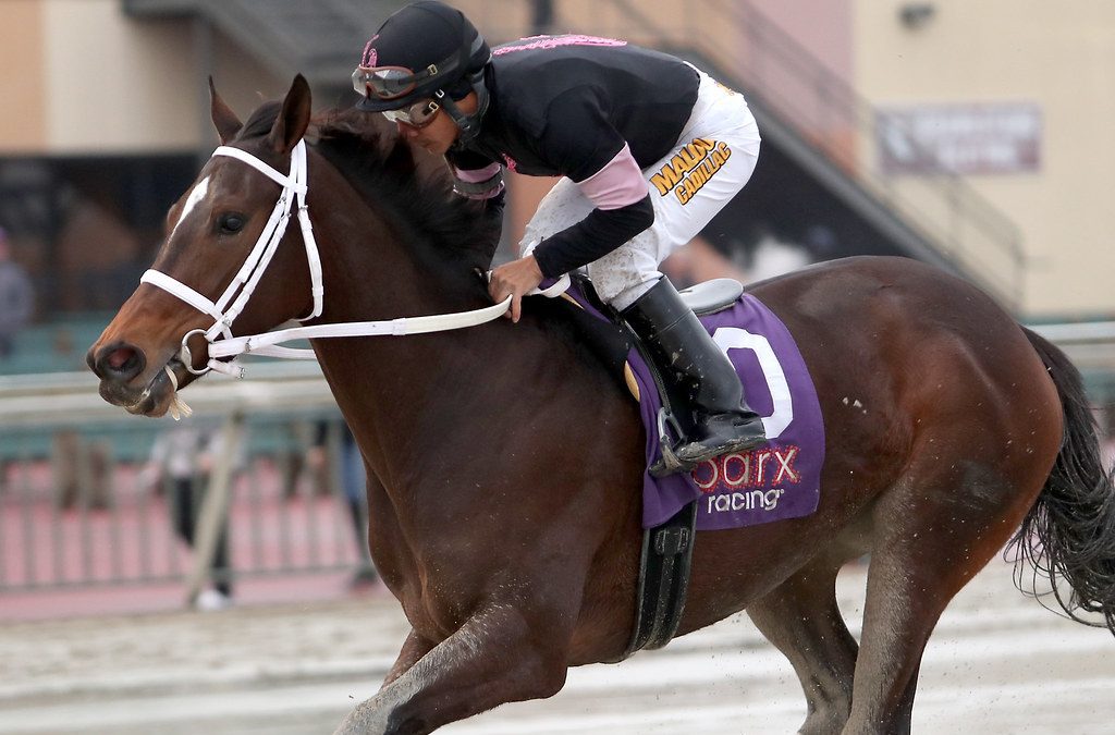 Girl Trouble looks to recapture winning ways