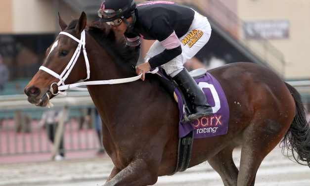 Girl Trouble looks to recapture winning ways