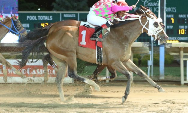 Lightnin Runner strikes in Its Binn Too Long