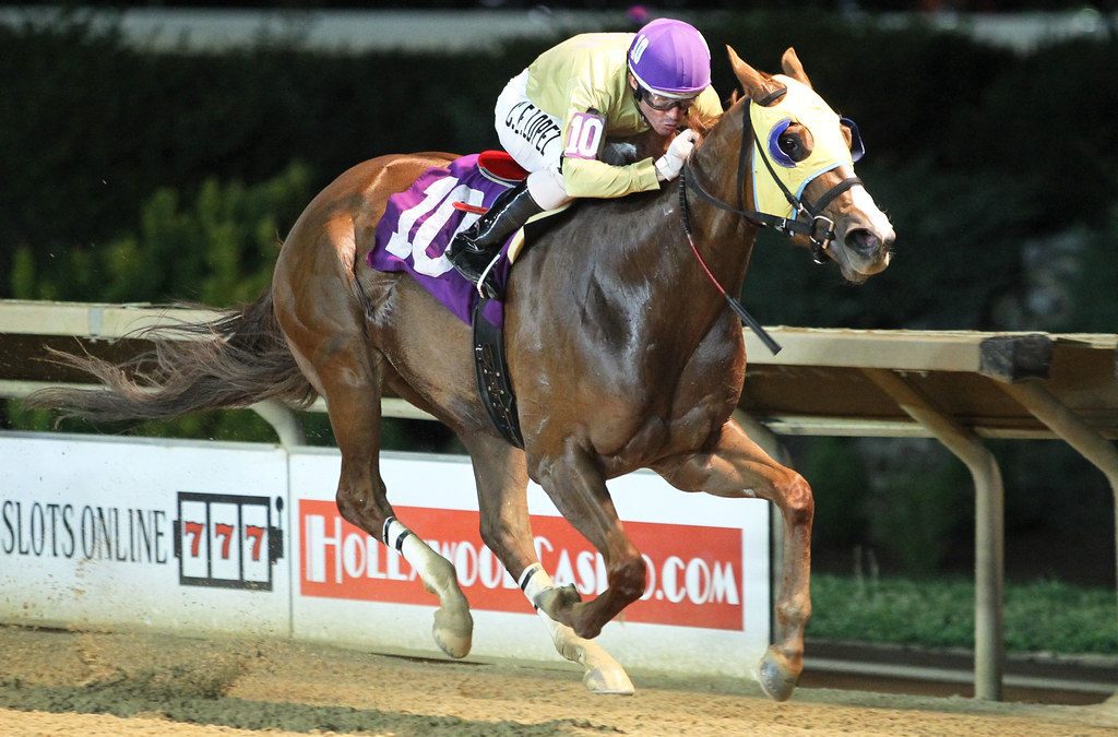 Lucylou Who looks for second straight in Fancy Buckles