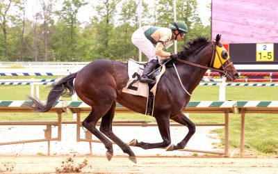 Jevian Toledo named Guild’s Jockey of the Week
