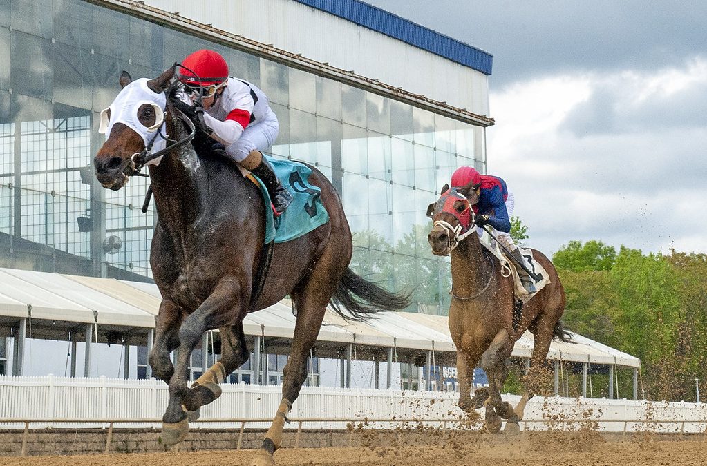 Laurel Park: Latest jockey and trainer stats