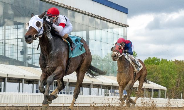 Laurel Park: Latest jockey and trainer stats