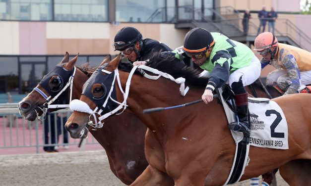Twisted Ride, Morning Matcha take Parx stakes