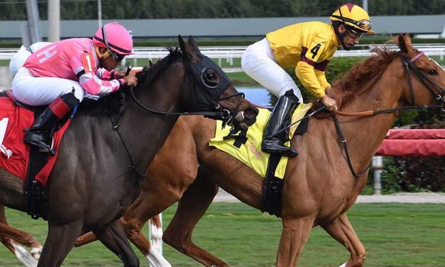 Evenly matched group set for Gallorette