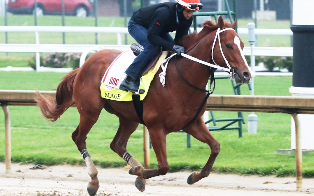 Mage, First Mission complete Preakness preparations