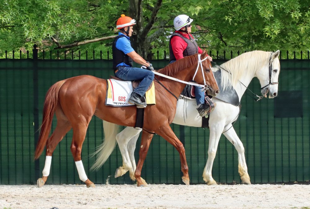 Mage to make next start in Haskell