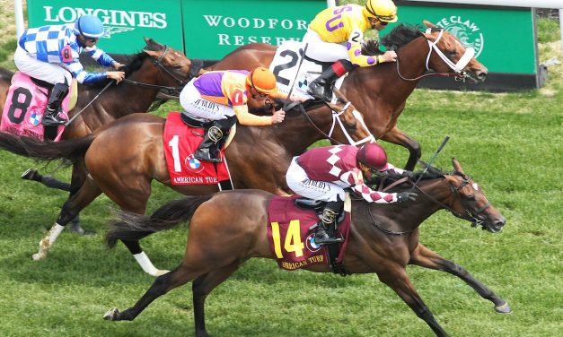 Nick’s Turf 10: Webslinger rising