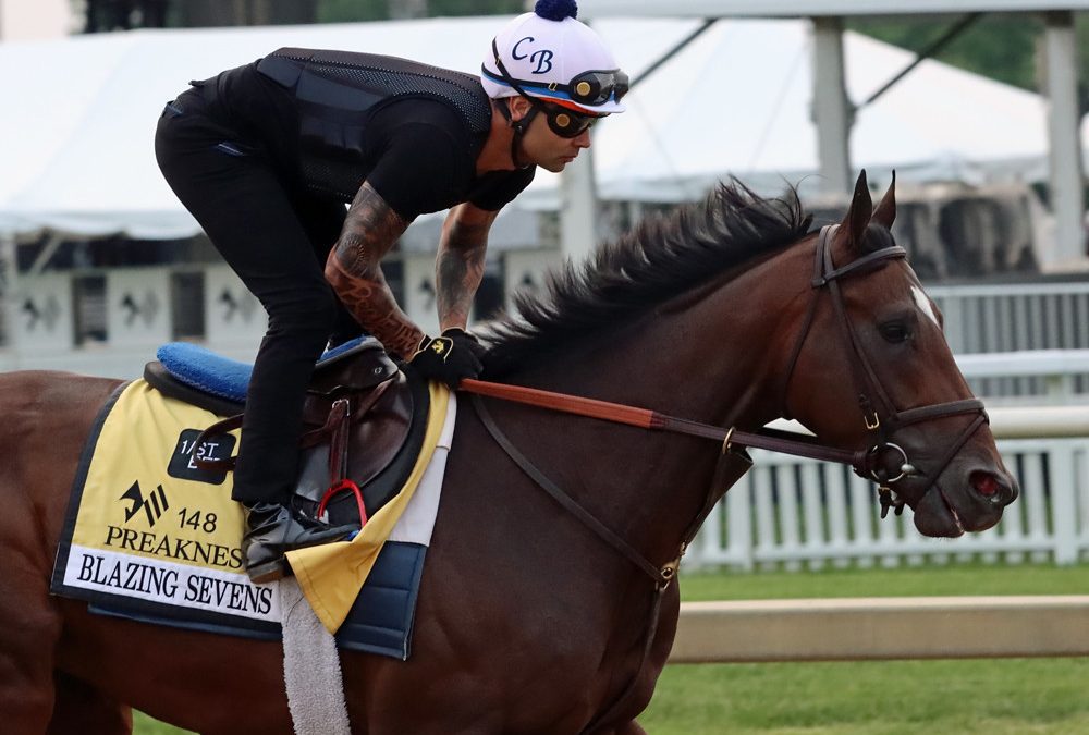 Experts’ Belmont Stakes and undercard picks