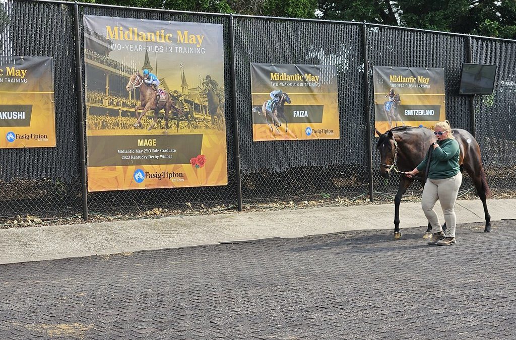 Fasig-Tipton Midlantic 2yo sale: By the numbers